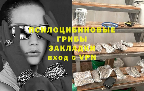 стафф Струнино