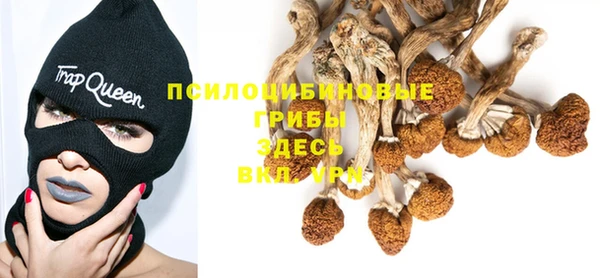 трава Арсеньев
